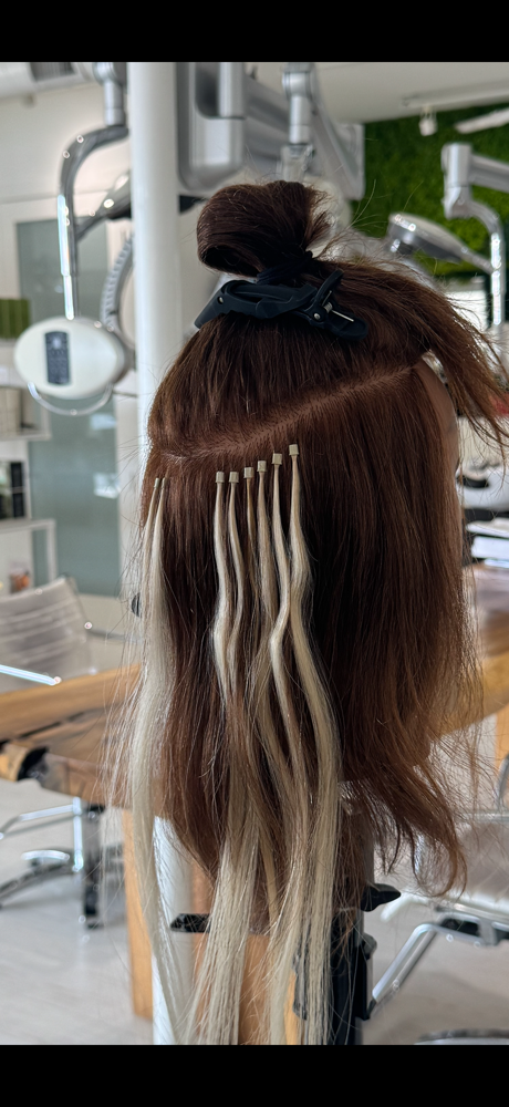 SADIE I-TIPS