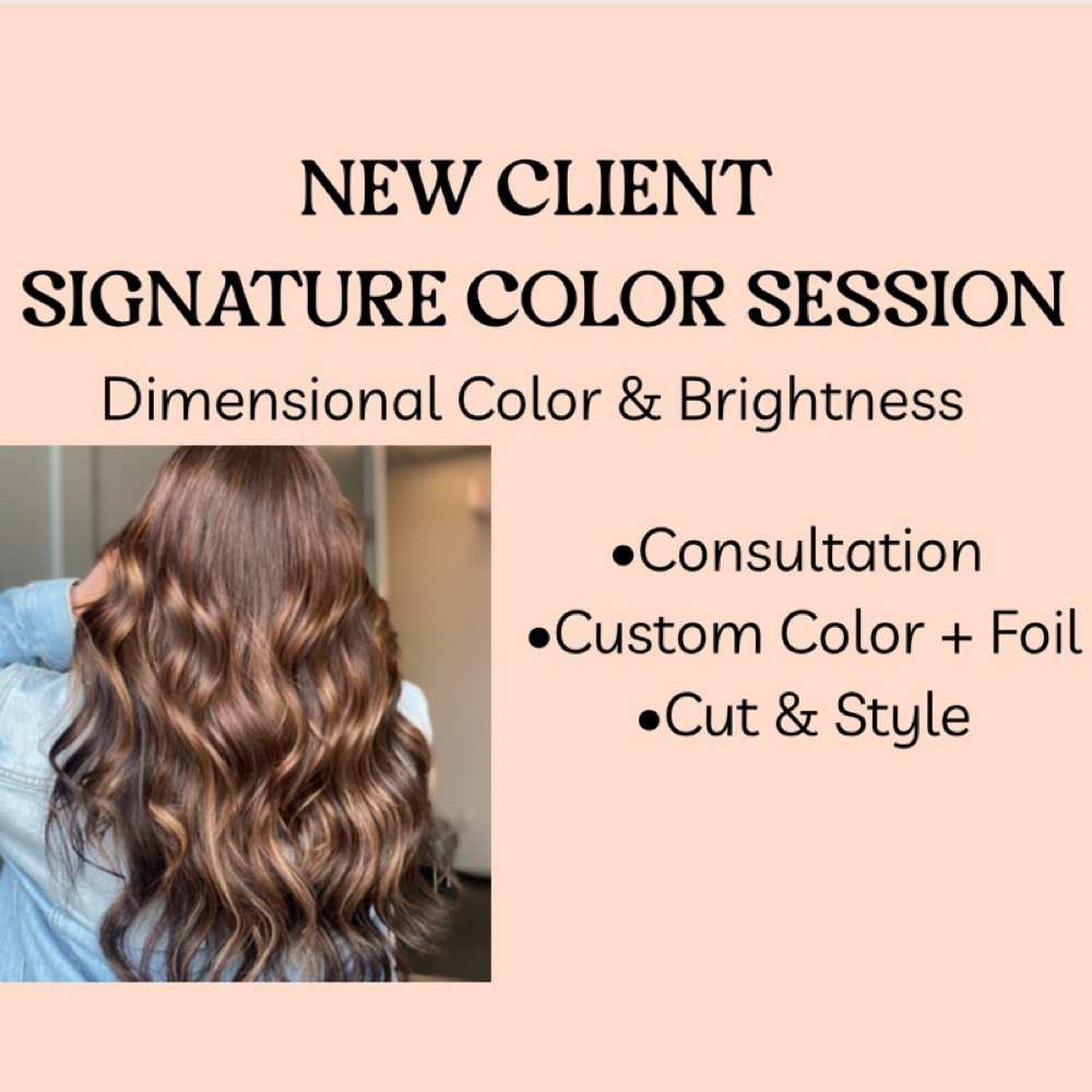 NEW CLIENT SIGNATURE COLOR SESSION at Pin And Tonic Salon in Fort Mill, SC