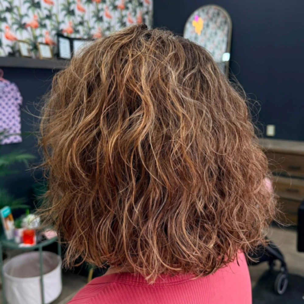 Partial Highlight at SG Stylez Hair Salon in Wills Point, TX