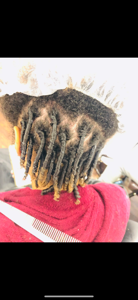 Coil Starter Locs at ChariseRenee’J Hands of A Goddess in Kettering, MD