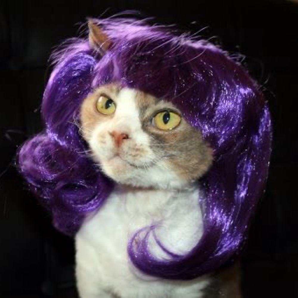 ALL OVER COLOR at theonlygracetoeverexist in Dallas, TX