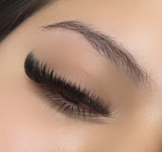 Bottom Lashes