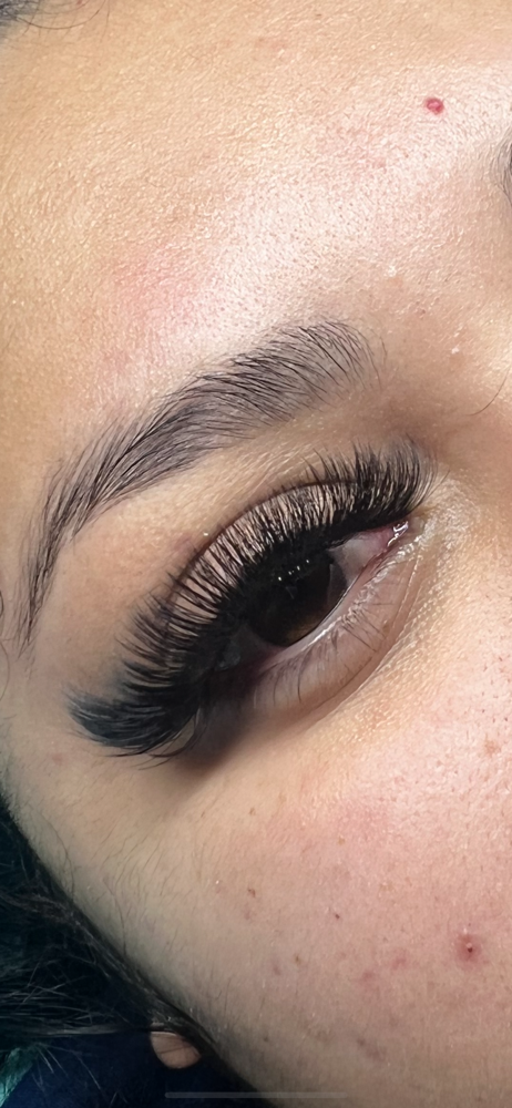 MEGA VOLUME LASHES