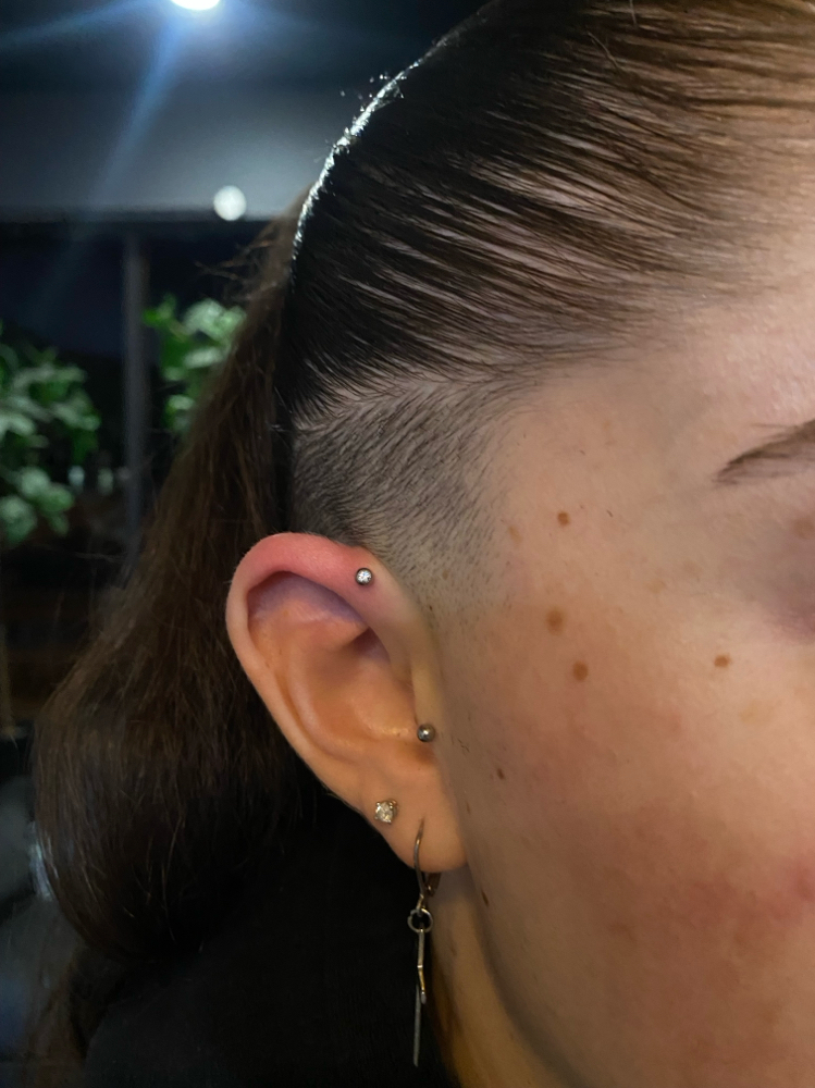Foward Helix
