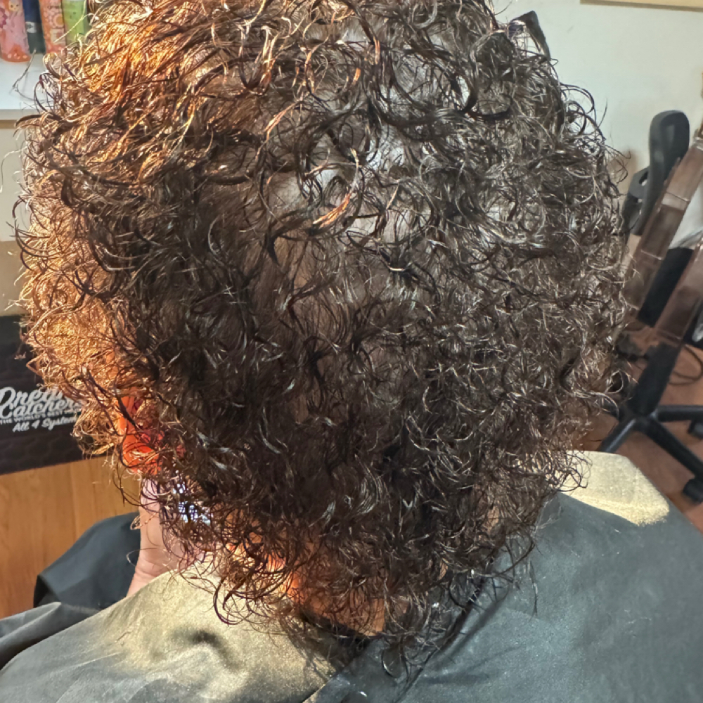 Perm (short) at Shear Beauty LLC in Grimsley, TN
