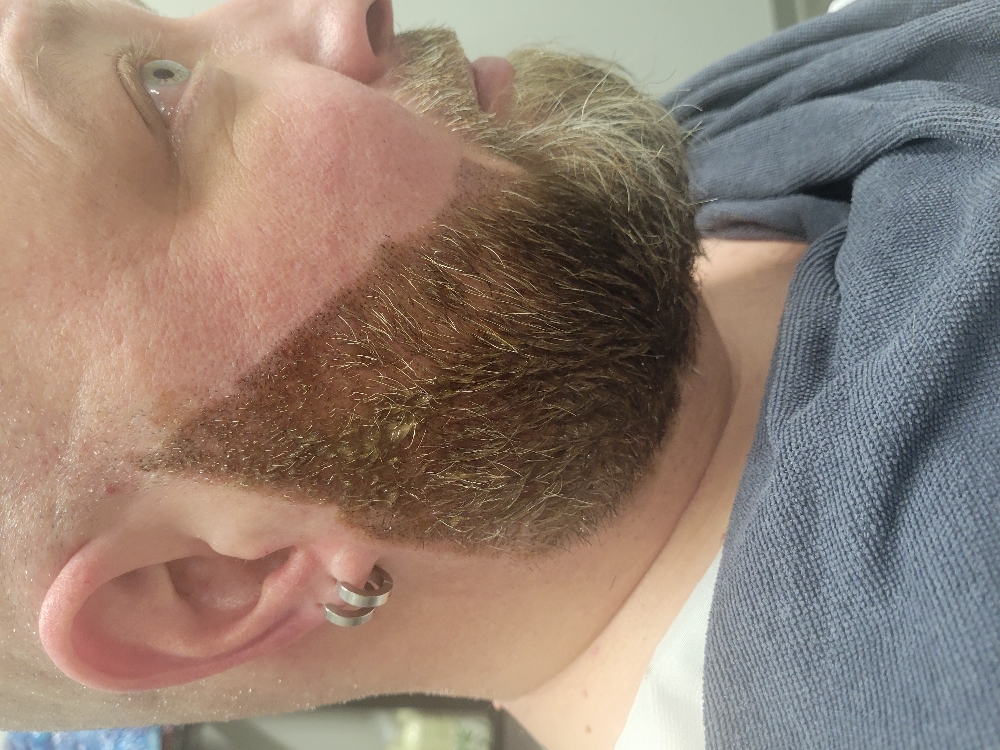 Color Gray Blend Hair Or Beard