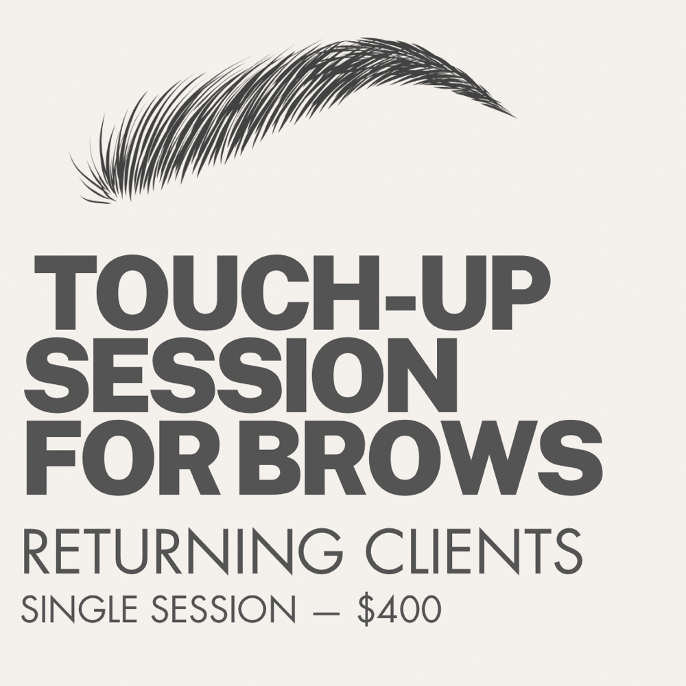 TOUCH-UP SESSION FOR BROWS