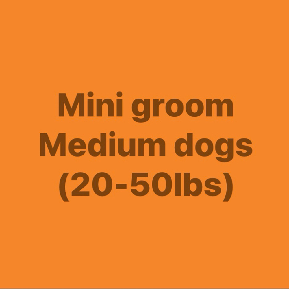 Mini Groom-Medium Dogs (20-50 Ibs) at Polished Pup in Larose, LA