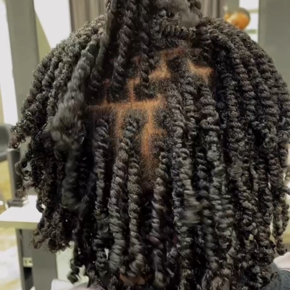 Mini Two Strand Twist at Quiana Brown in South Orange, NJ