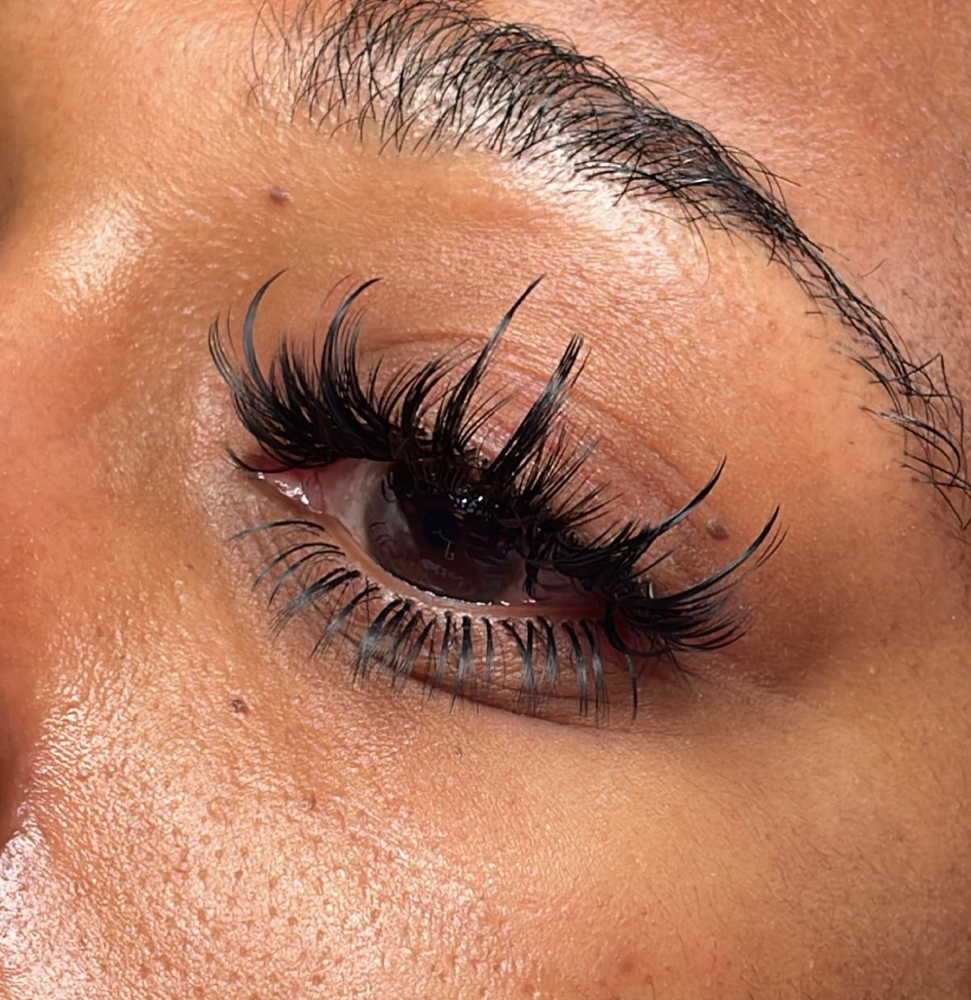 Barbie (includes Bottom Lashes)