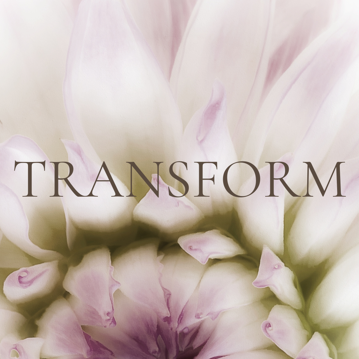 Transform