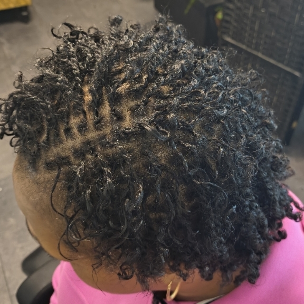 MICRO LOCS (Not Sister Locs) at The Loc Suite in Mechanicsville, VA