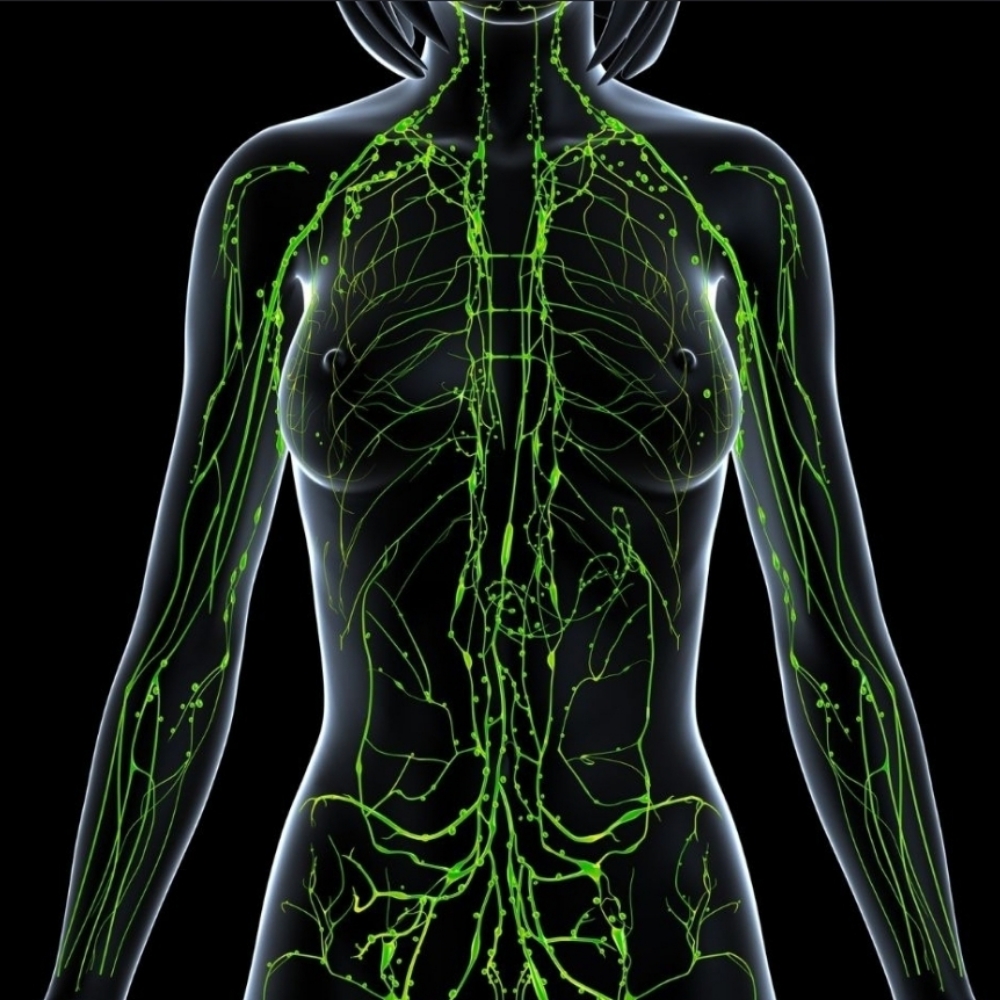 Hansi's Lymphatic Flow at A Vital Touch Day Spa in Shell Beach, CA