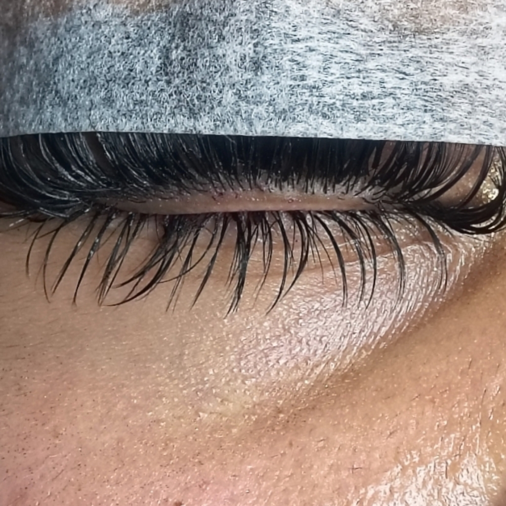 Bottom Lashes at Killer Queen Esthetics in Lakewood, CO