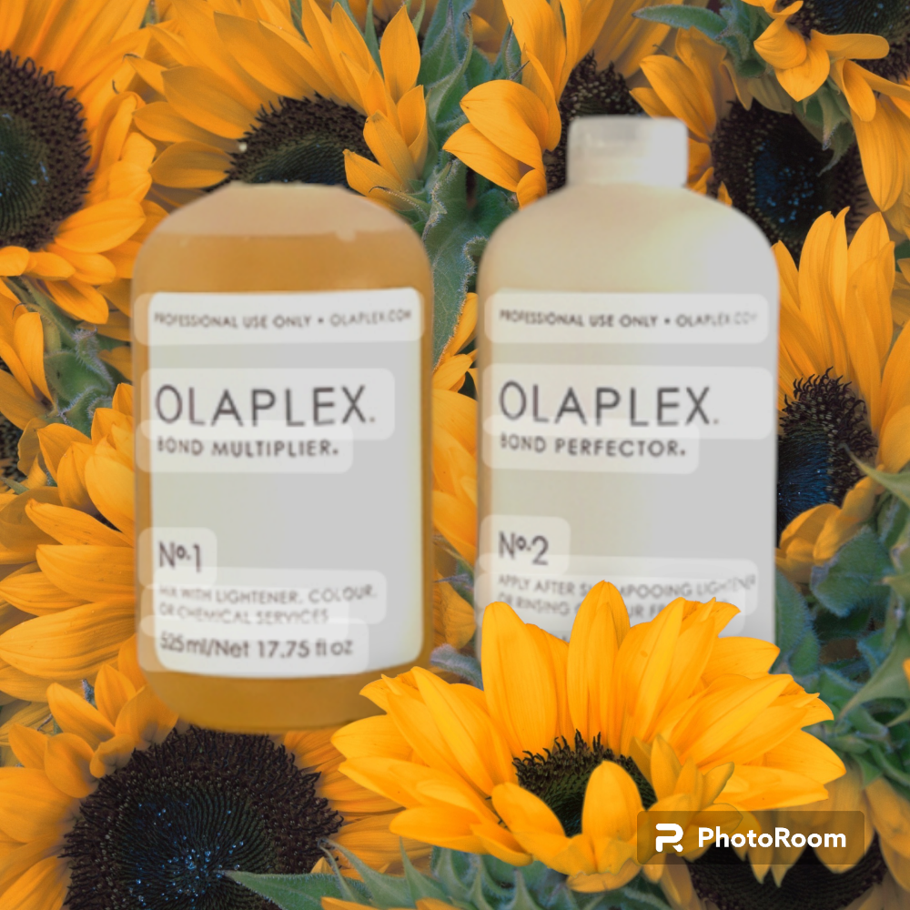 Full Olaplex Treatment