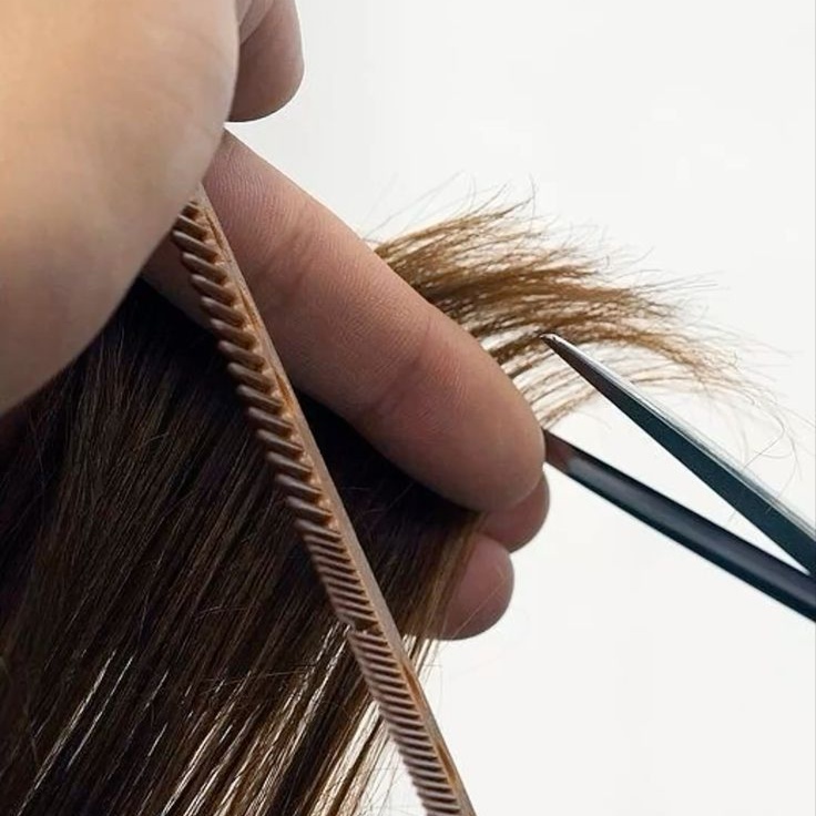 Women's Haircut at Andrew Zachery Hair | EDIT Studio in Saint Joseph, MI