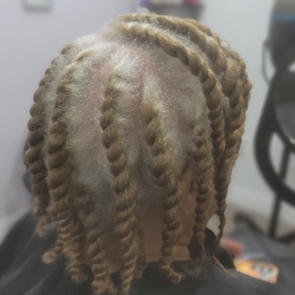 2-Strand Set and Twist-out at EH Beauty Group LLC in Spring, TX