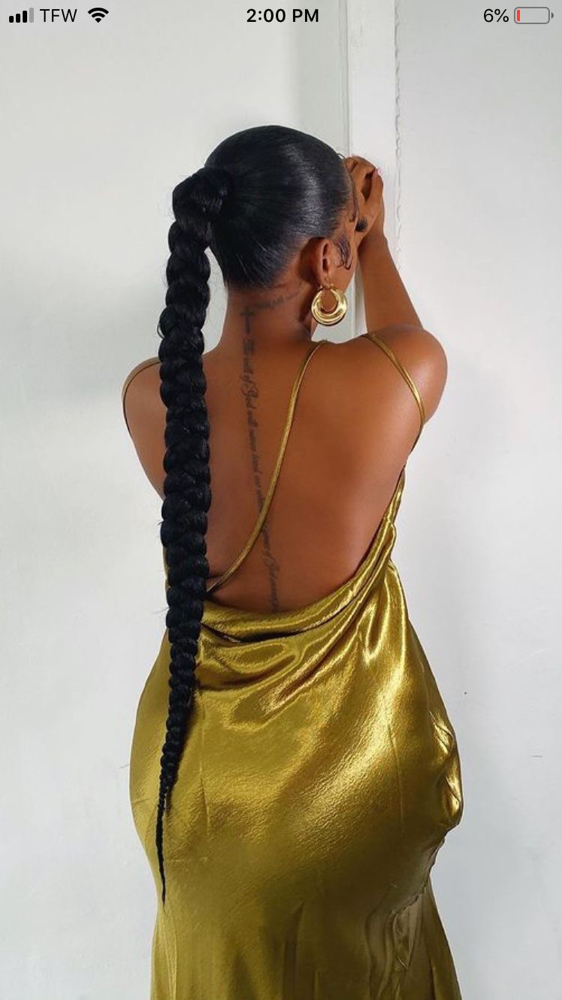 Ponytail Braid