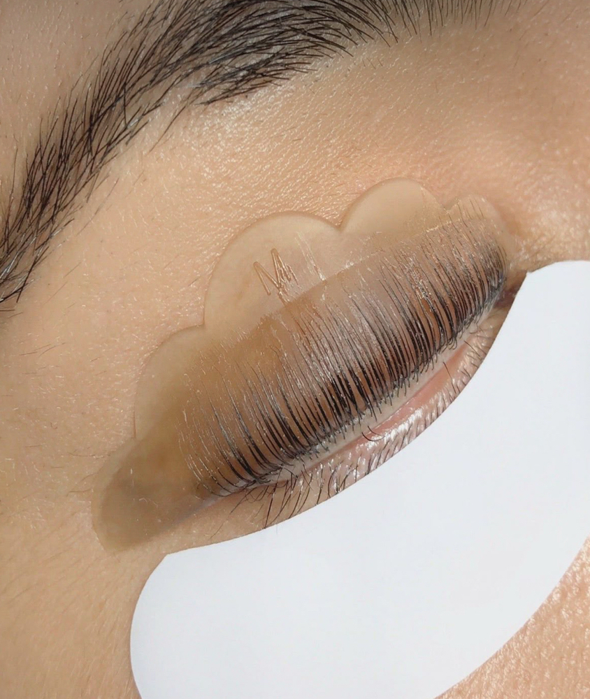 Lash lift (no tint)
