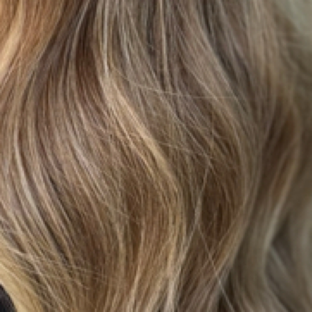 Face Frame Blonde at Level K Salon in San Antonio, TX