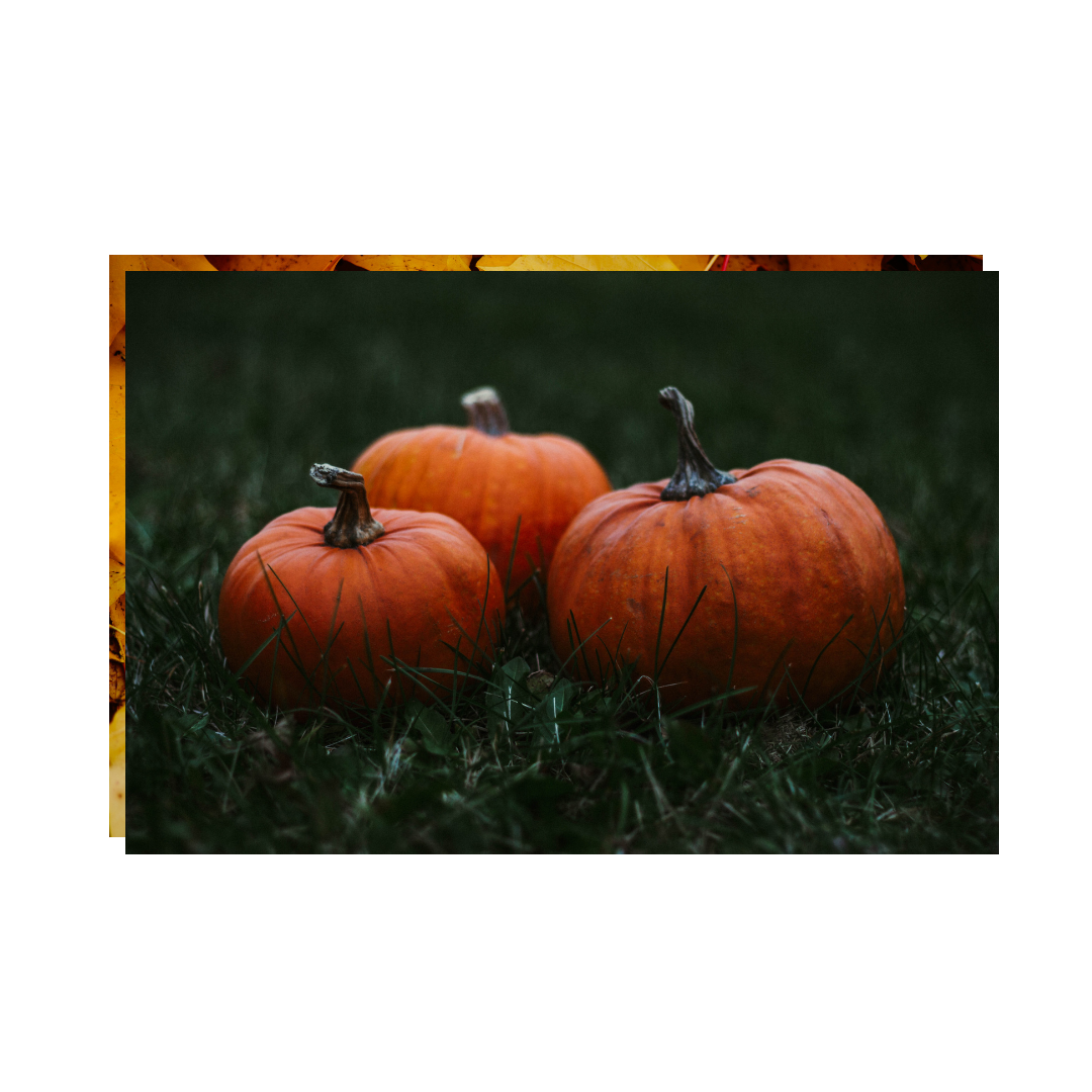 Pumpkin Spice Facial