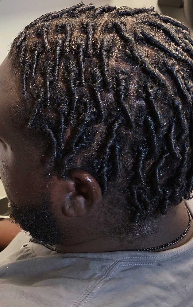 Starter Locs