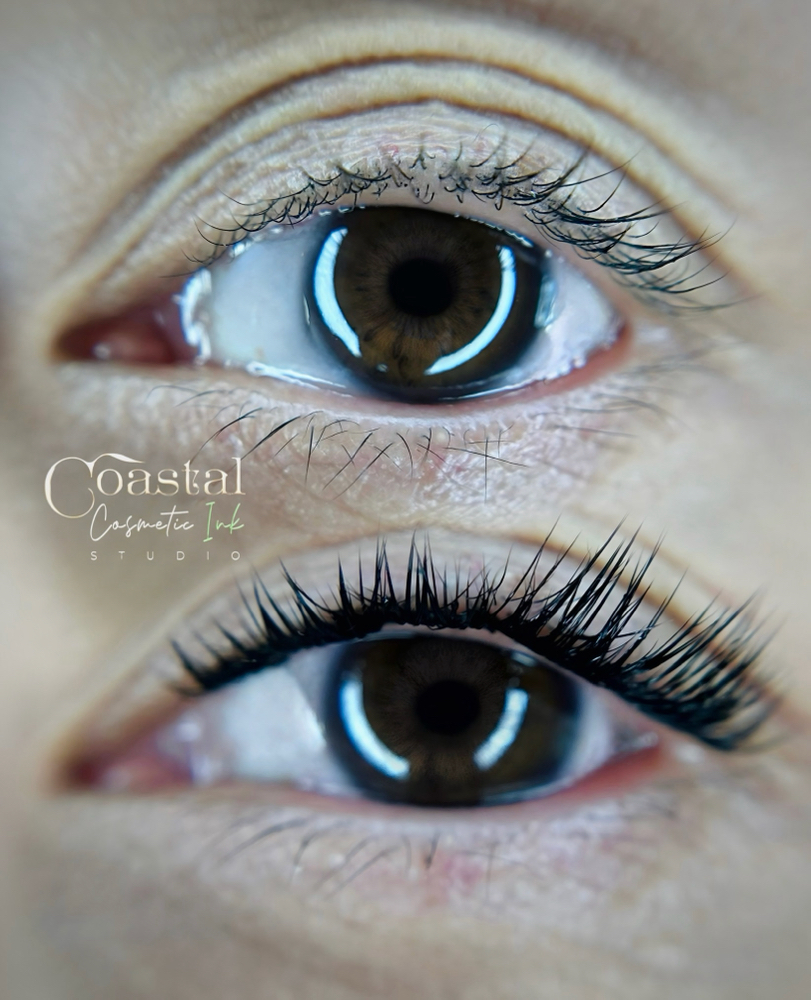 Eye Candy (5 Day Lash Wear)