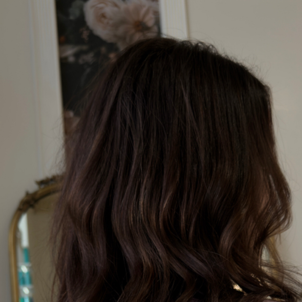 Root Touch Up at Colour Lounge Studio in Walla Walla, WA