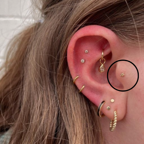 Tragus