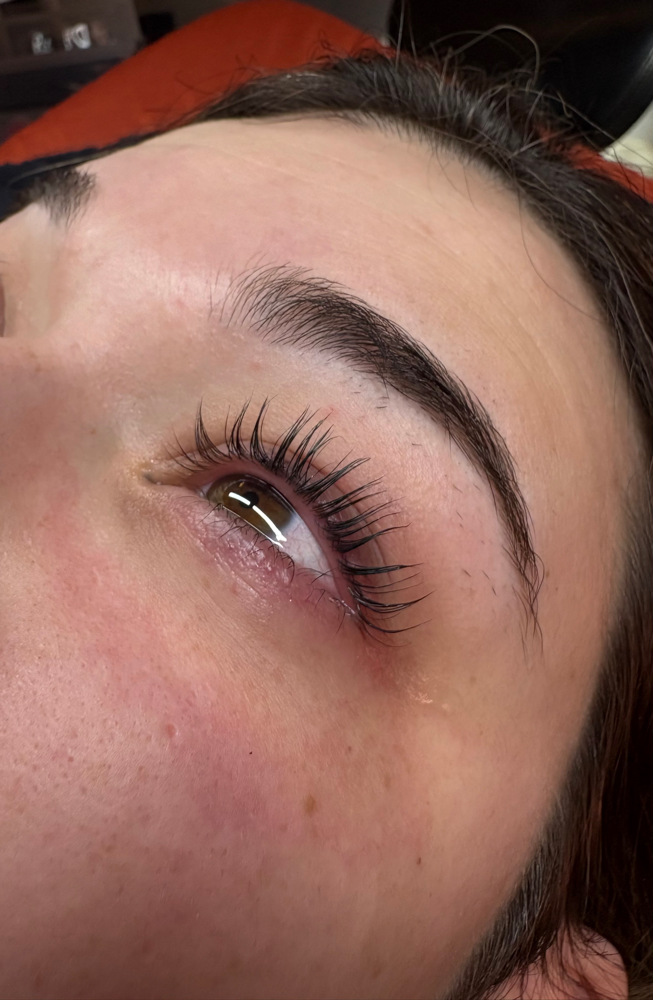 Lash Bundle