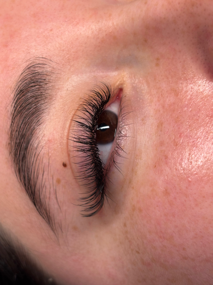 Hybrid Lashes