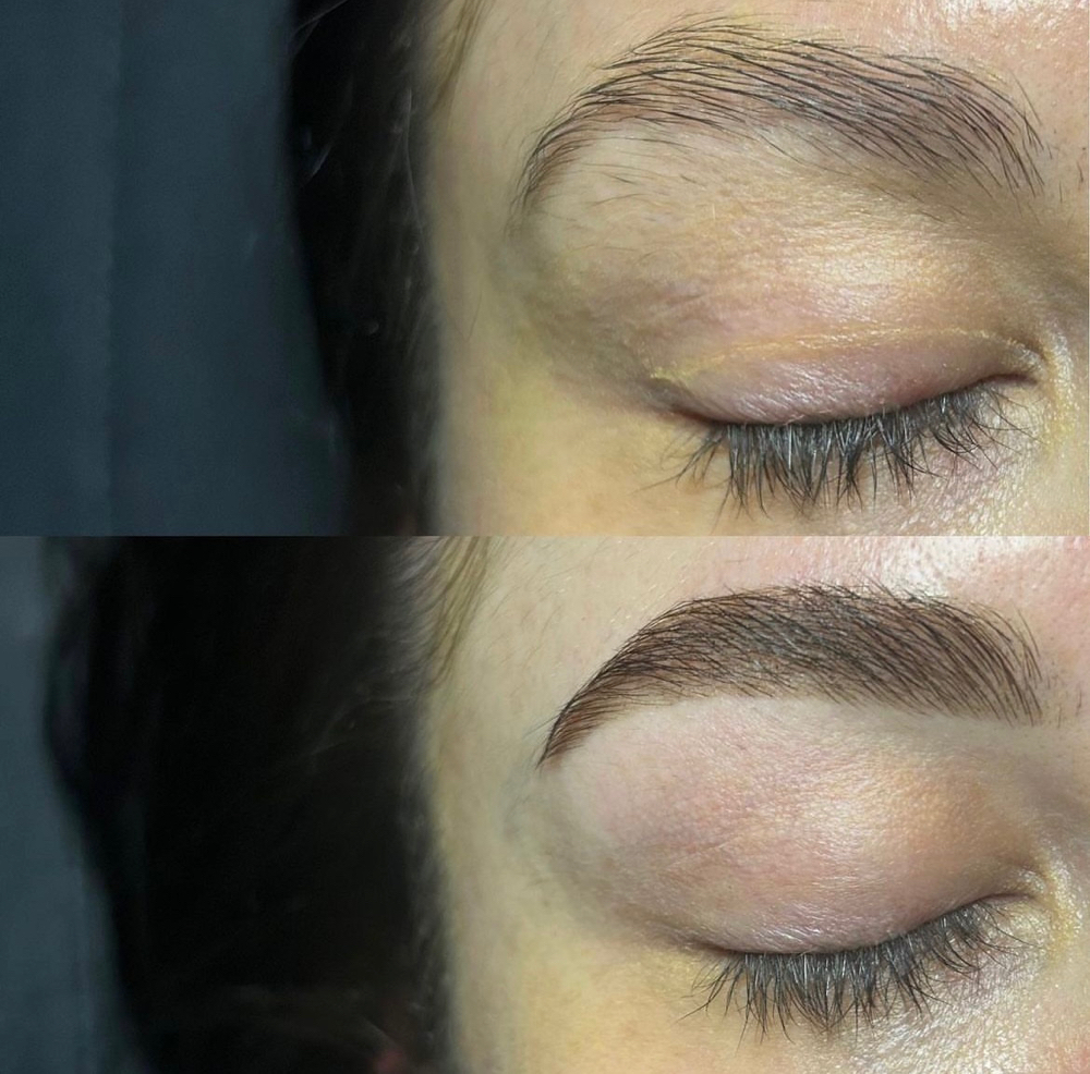 Vivid Brow + Brow Wax