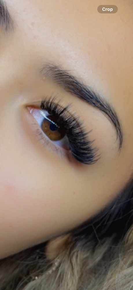 Volume Lashes