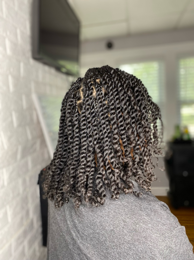 2 Strand Twist(shampoo +Blow Dry)