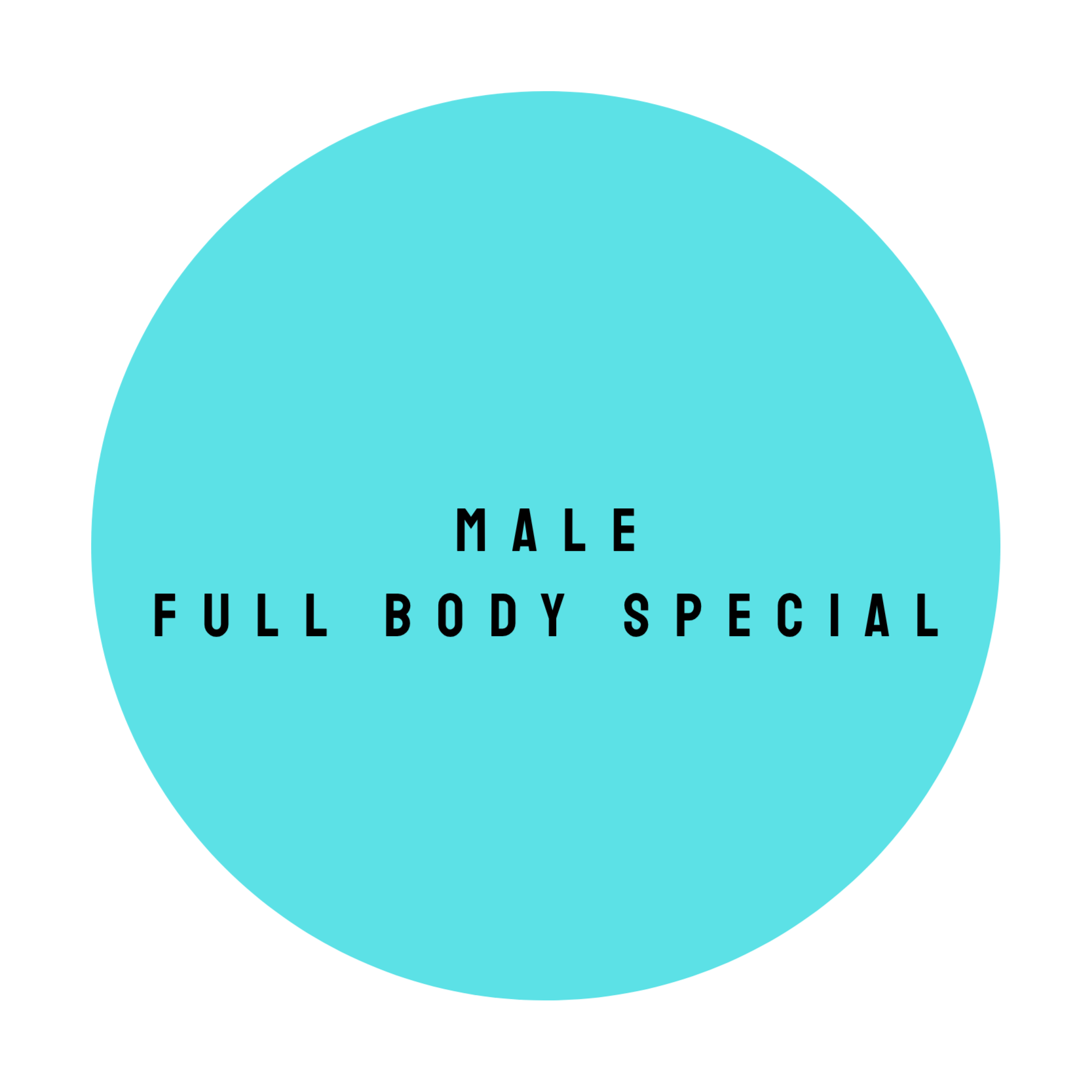MALE FULL BODY SPECIAL at The Dollhouse Wax Studio in Smyrna, TN