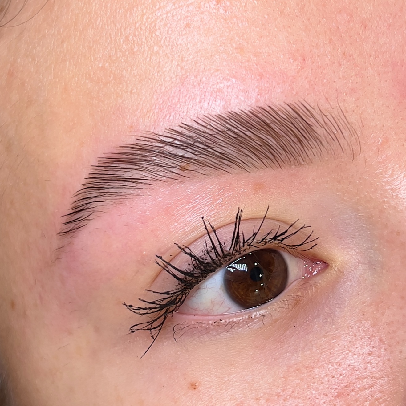 Brow lamination + tint