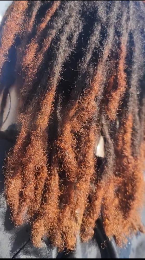 Loc Color & Retwist
