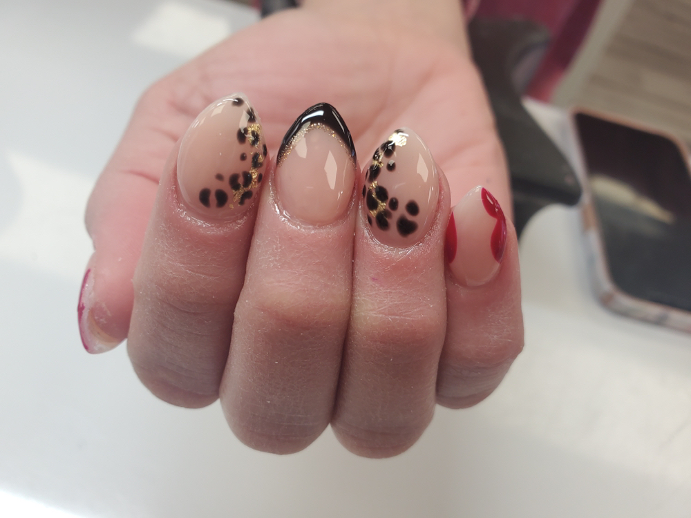 PolyGel