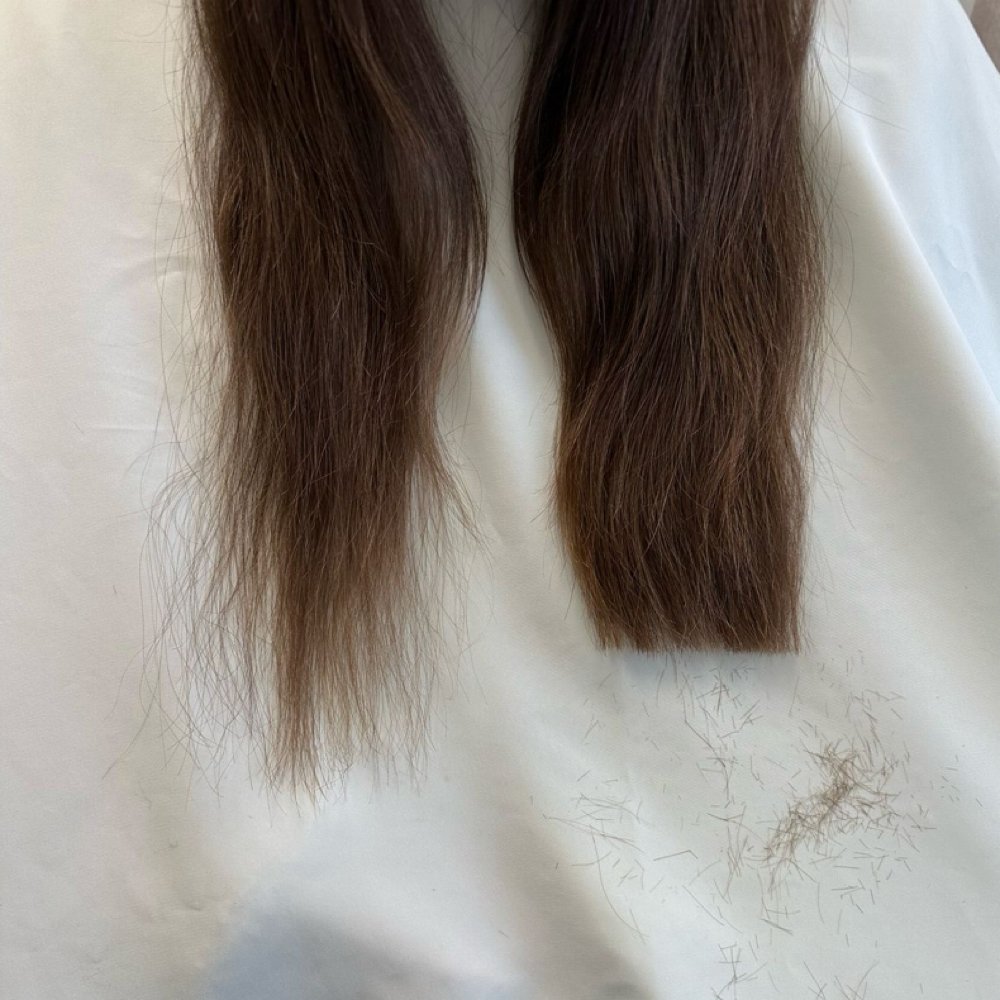 Women’s Haircut at The Mane Edit in Papillion, NE