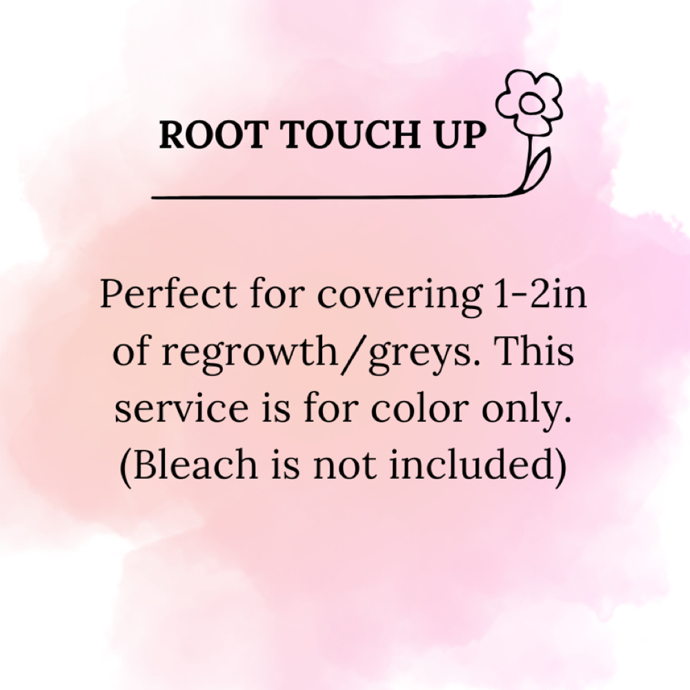 ROOT TOUCH UP at Hair Did by Court in Spring, TX