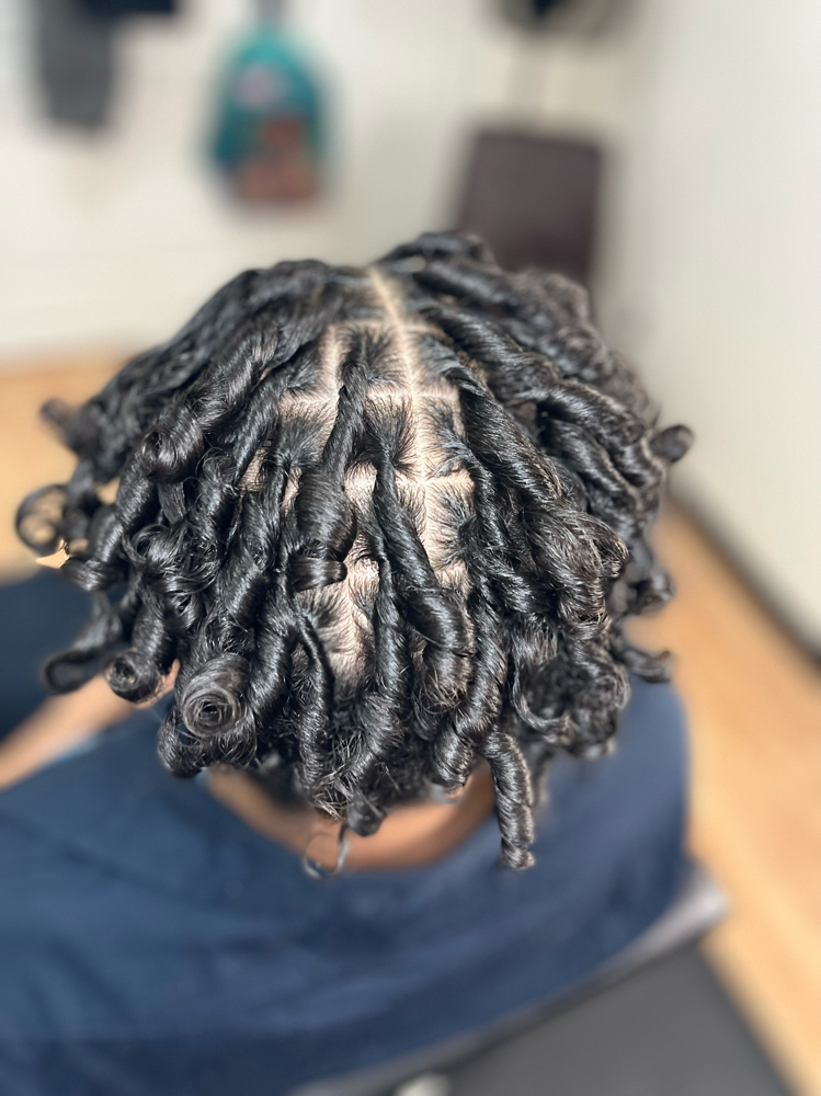 Partial Head Starter Locs
