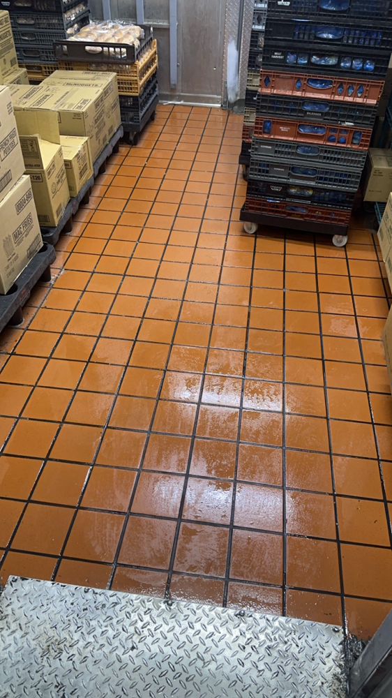 Tile & Grout