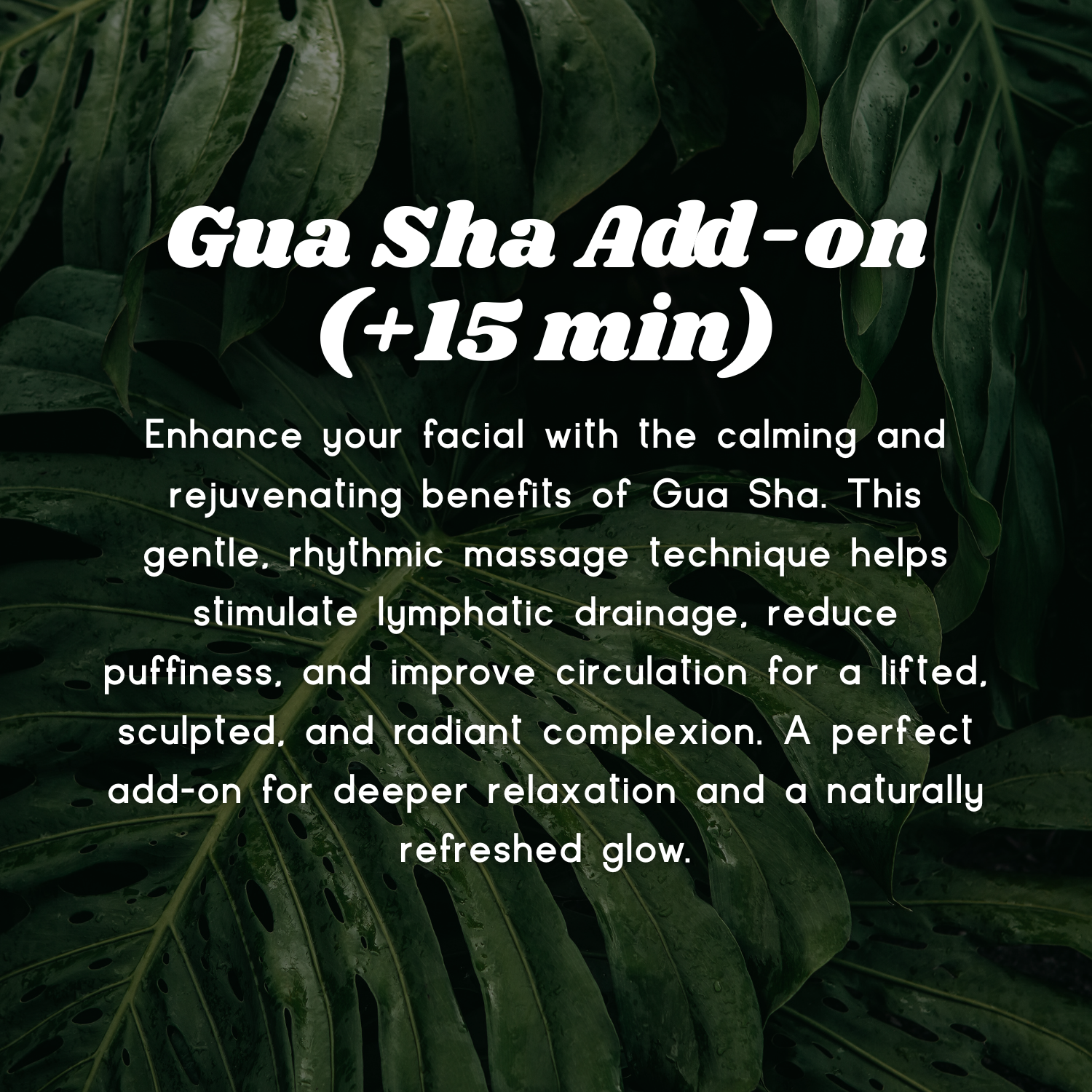 Gua Sha Massage Add-On
