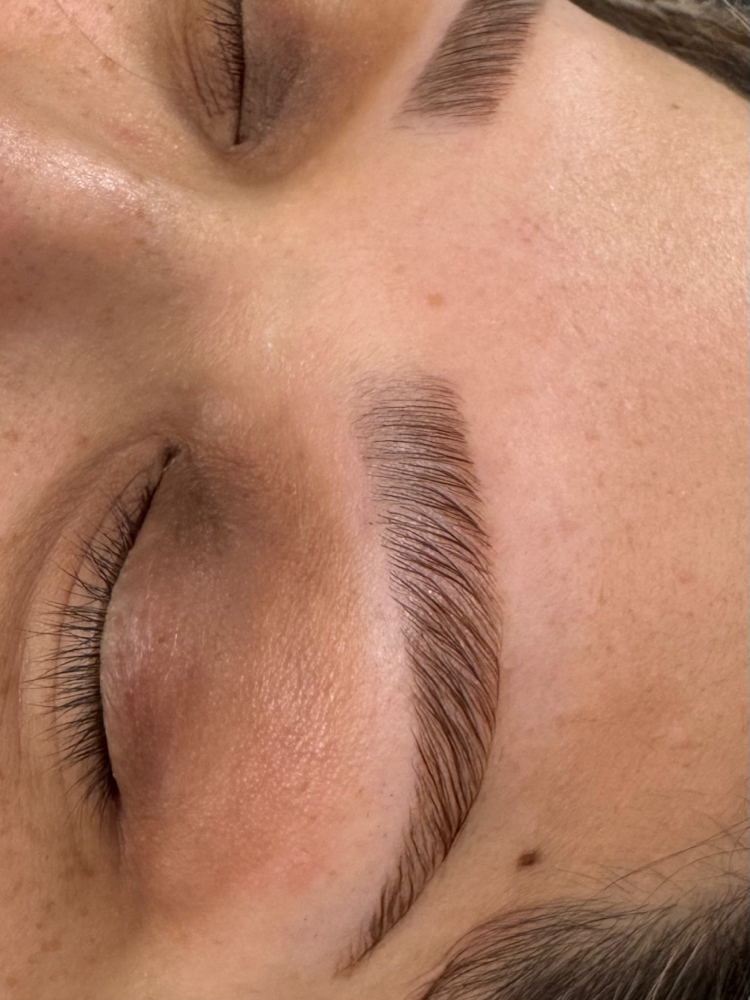 brow tint at ilashibrowartist in henderson, TX