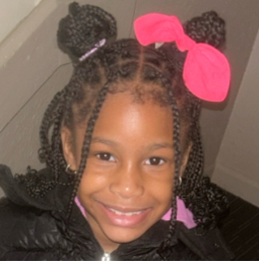 Kiddie Box Braids (small) at House of Healthy Hair in Merrillville, IN