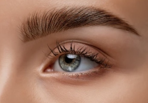 Brow Tint