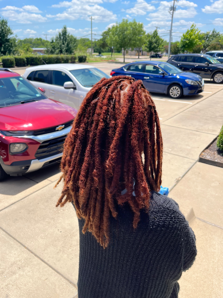 Loc Coloring - Full Head