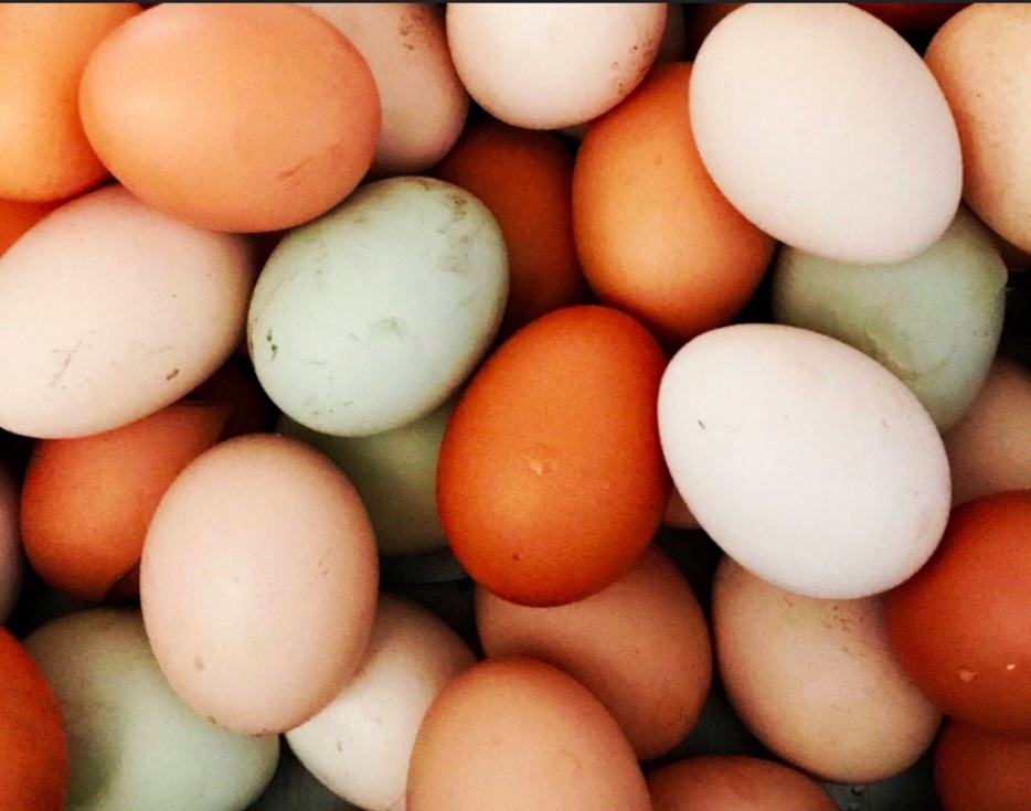Half Dozen Eggs