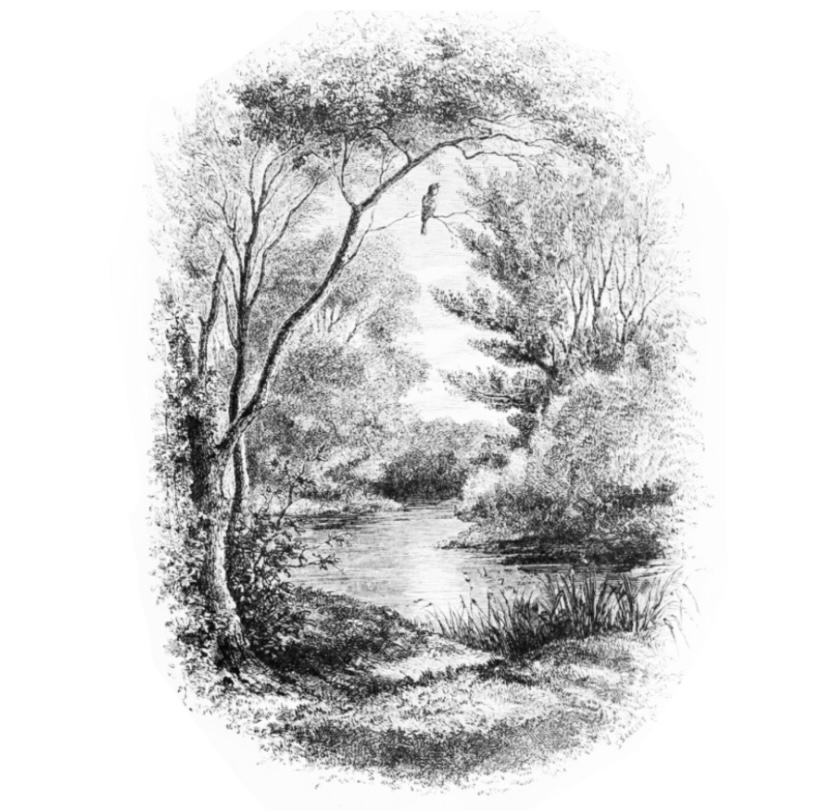 A Picture Of Spring - 2 Sessions