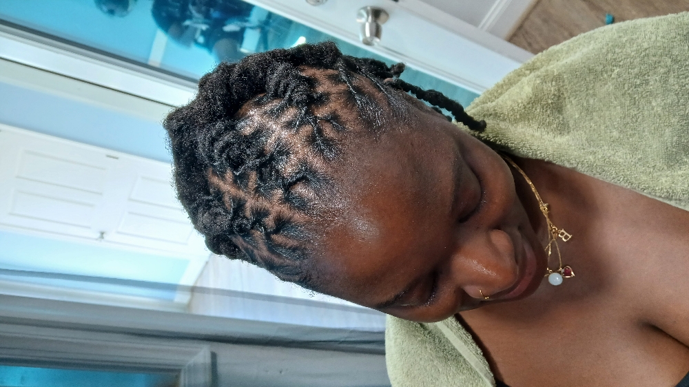 Loc Braids Halfway Going Back